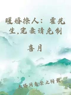 暖婚撩人：霍先生,宠妻请克制