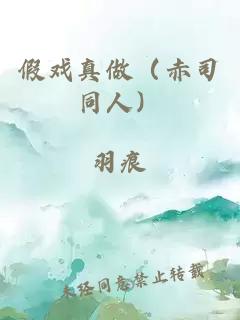 假戏真做（赤司同人）