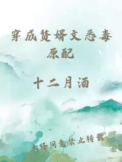穿成赘婿文恶毒原配