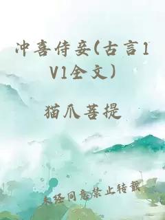 冲喜侍妾(古言1V1全文)