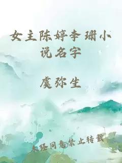 女主陈婷李珊小说名字