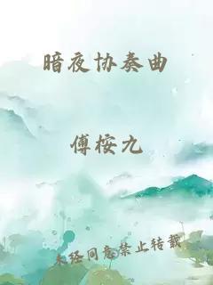 暗夜协奏曲