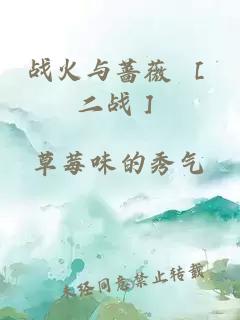 战火与蔷薇 ［二战］