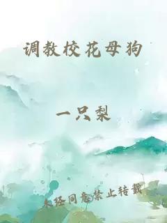 调教校花母狗