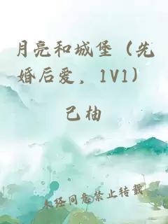 月亮和城堡（先婚后爱，1V1）