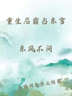 重生后霸占东宫