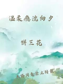 温柔瘾沈向夕