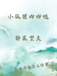 小狐狸凶凶哒