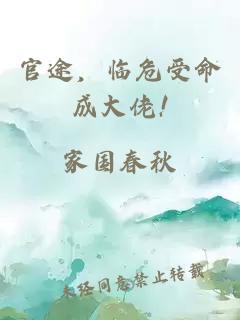 官途，临危受命成大佬!