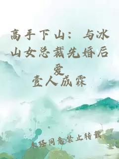 高手下山：与冰山女总裁先婚后爱