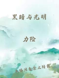 黑暗与光明