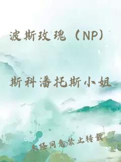 波斯玫瑰（NP）