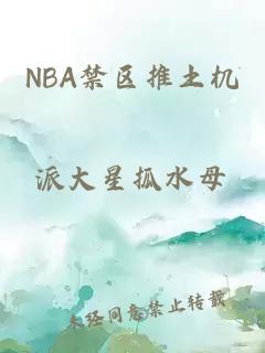 NBA禁区推土机