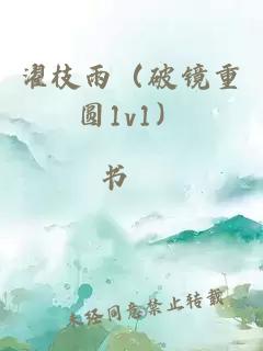 濯枝雨（破镜重圆1v1）