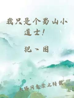 我只是个蜀山小道士！