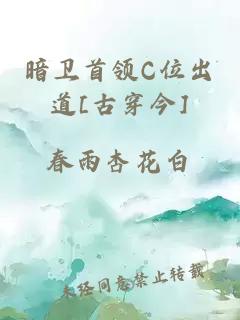 暗卫首领C位出道[古穿今]