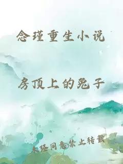 念瑾重生小说