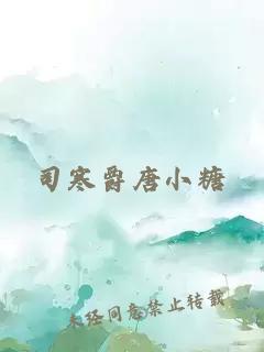 司寒爵唐小糖