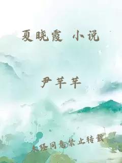 夏晓霞 小说