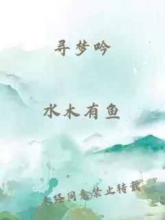 寻梦吟