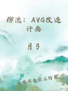 柳沈：AVG改造计画