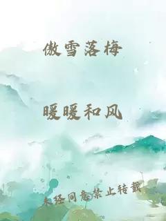 傲雪落梅