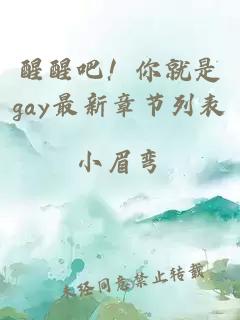 醒醒吧！你就是gay最新章节列表