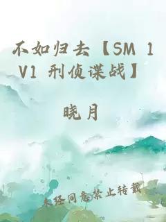 不如归去【SM 1V1 刑侦谍战】