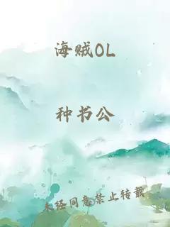 海贼OL