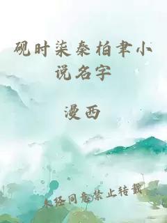 砚时柒秦柏聿小说名字