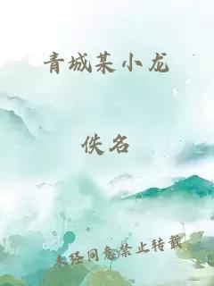 青城某小龙