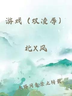 游戏（双凌辱）