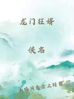 龙门狂婿