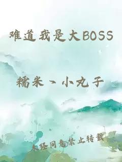 难道我是大BOSS