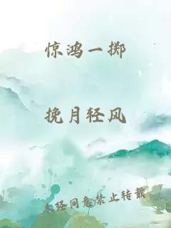 惊鸿一掷