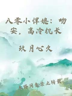 八零小悍媳：吻安，高冷机长