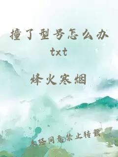 撞了型号怎么办txt