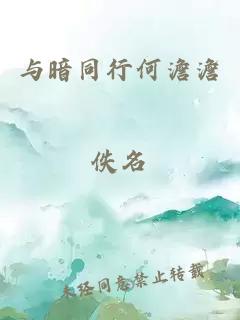 与暗同行何澹澹