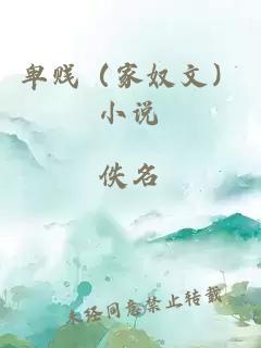 卑贱（家奴文）小说