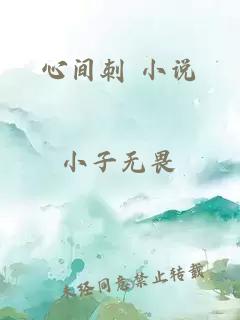 心间刺 小说