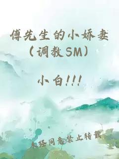 傅先生的小娇妻（调教SM）